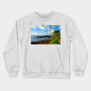 North Shore Study 1 Crewneck Sweatshirt